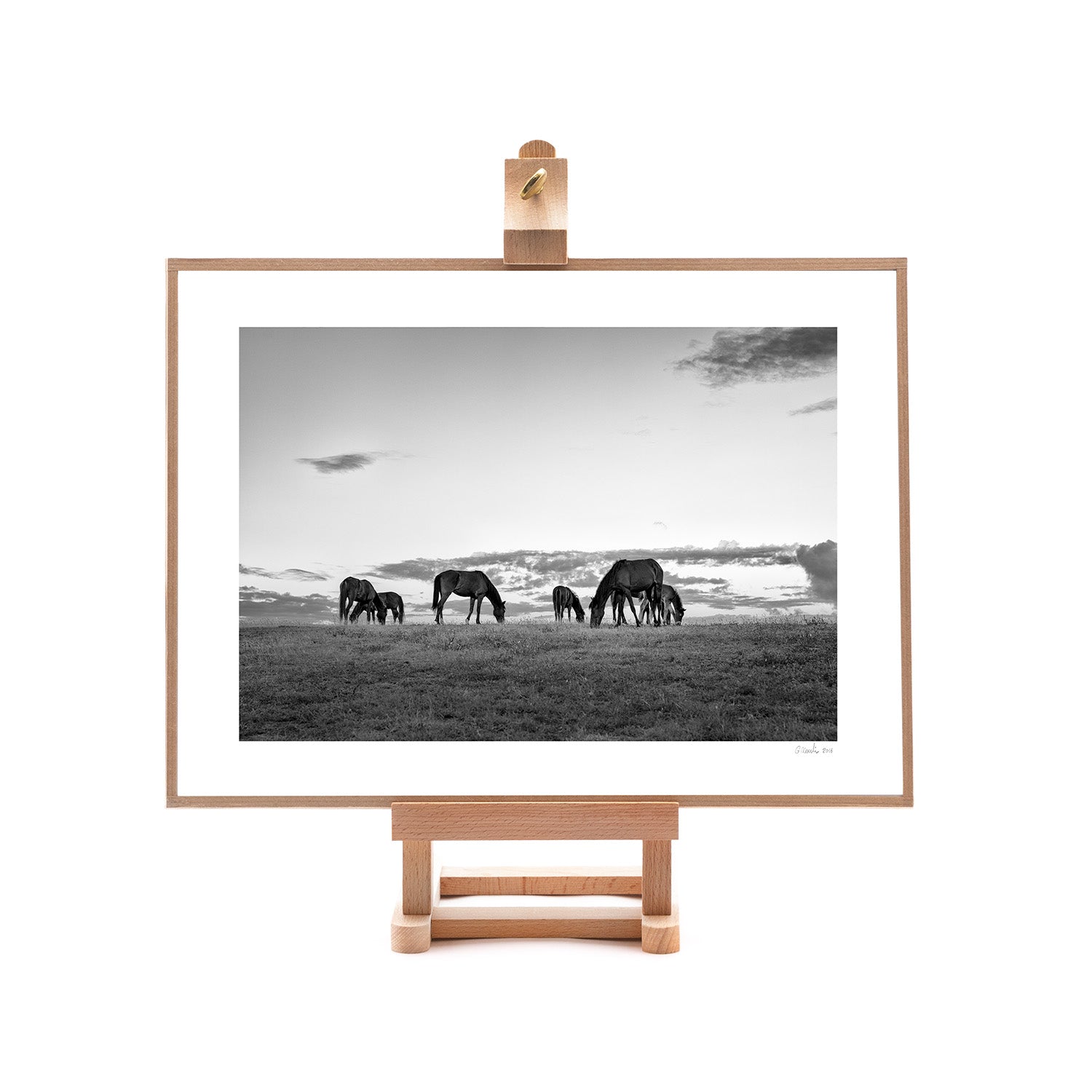 Herd at Dusk On Easel