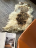 Spotted Icelandic Sheepskin Throw Rug