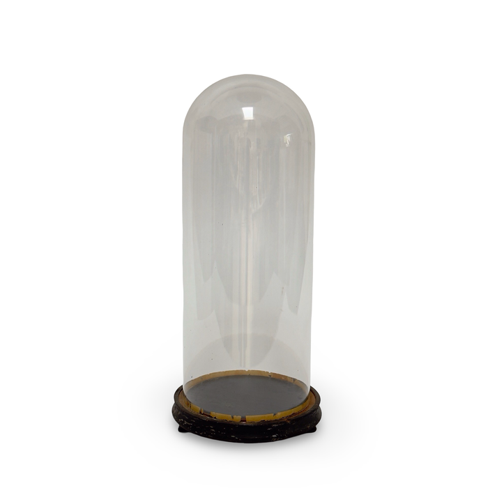 Antique French Wedding Dome with Wood Base