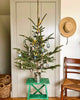 Handmade clover ornament hanging from decorated evergreen tree with small charms