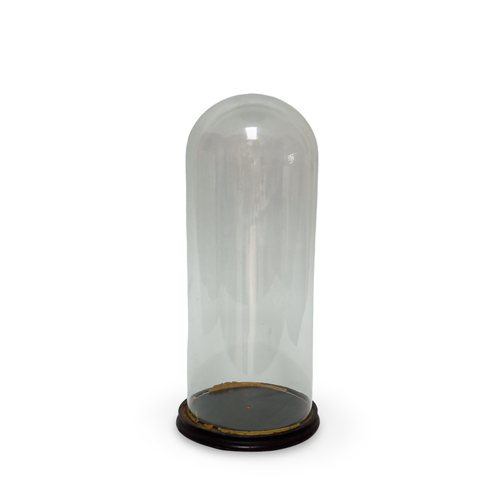 Antique French Glass Wedding Dome on Wood Base