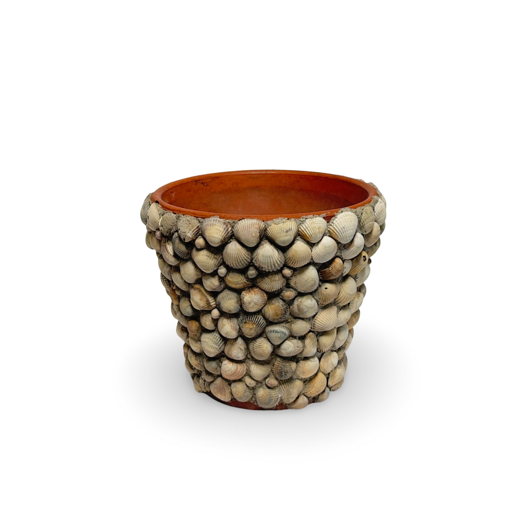 Vintage French Shell Covered Terracotta Pot