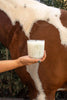 Horse soy wax candle in a clear glass tumbler, held in front of a horse.