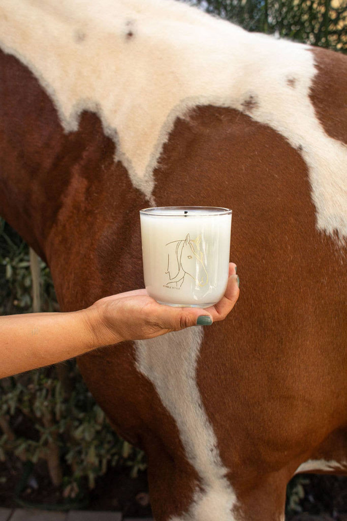 Horse soy wax candle in a clear glass tumbler, held in front of a horse.