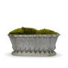 Antique French Urn