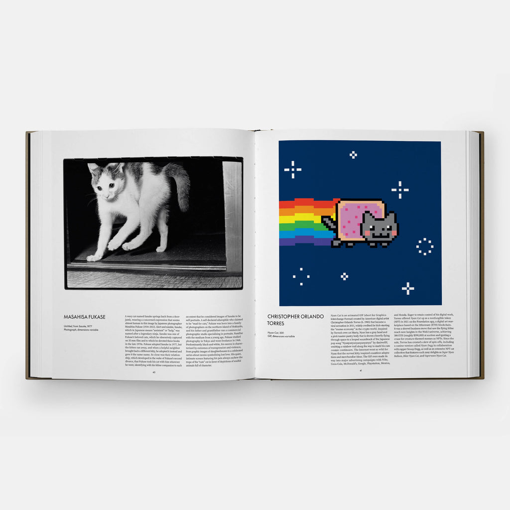 Cat Book