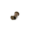 Brown cylindrical shell with two open, rounded ends