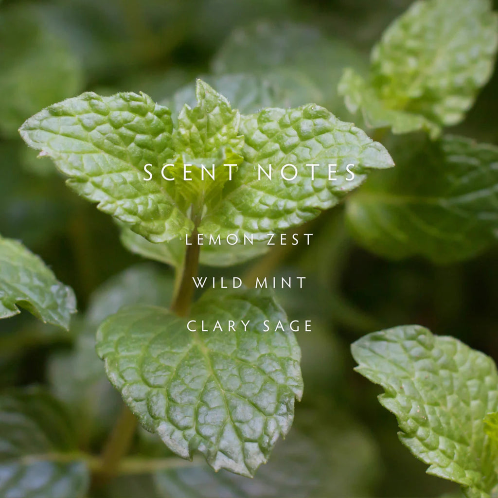 Linnea Hand Soap - Crushed Mint