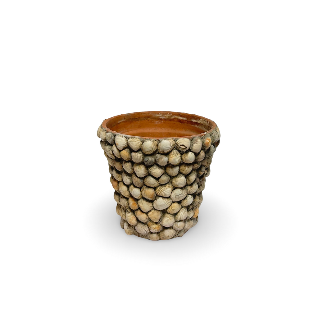 Vintage French Shell Covered Terracotta Pot