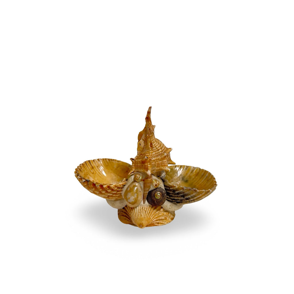 Vintage French Shell Jewelry Holder