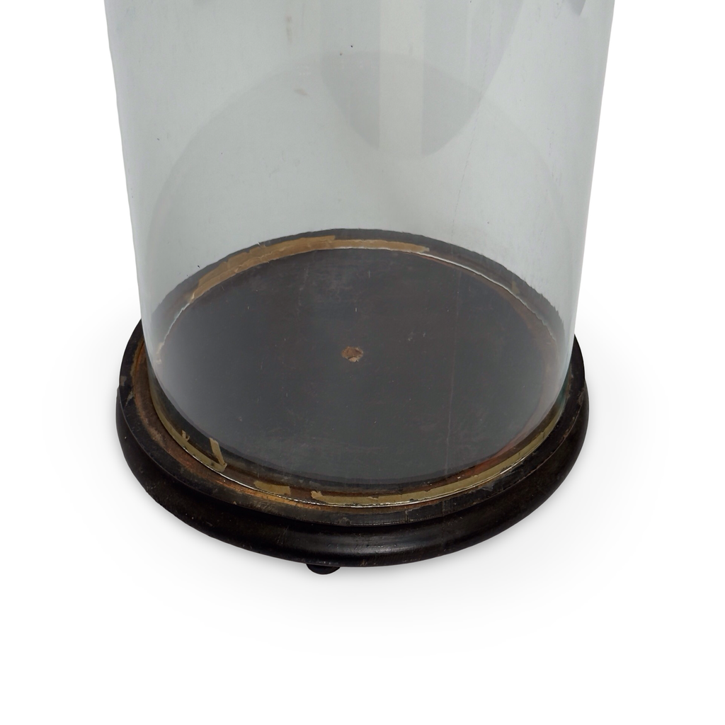 Antique French Wedding Dome with Wood Base