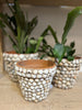 Vintage French Shell Covered Terracotta Pot