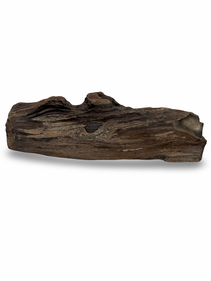 Antique Petrified Wood