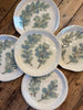 Blanche Plates