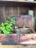 Primitive Wooden Box W/ Latch