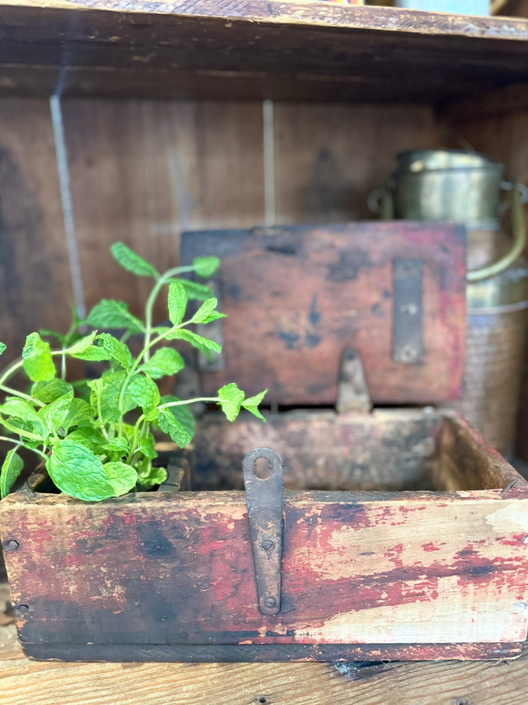 Primitive Wooden Box W/ Latch