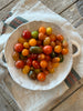 Ceramic Colander with Handles