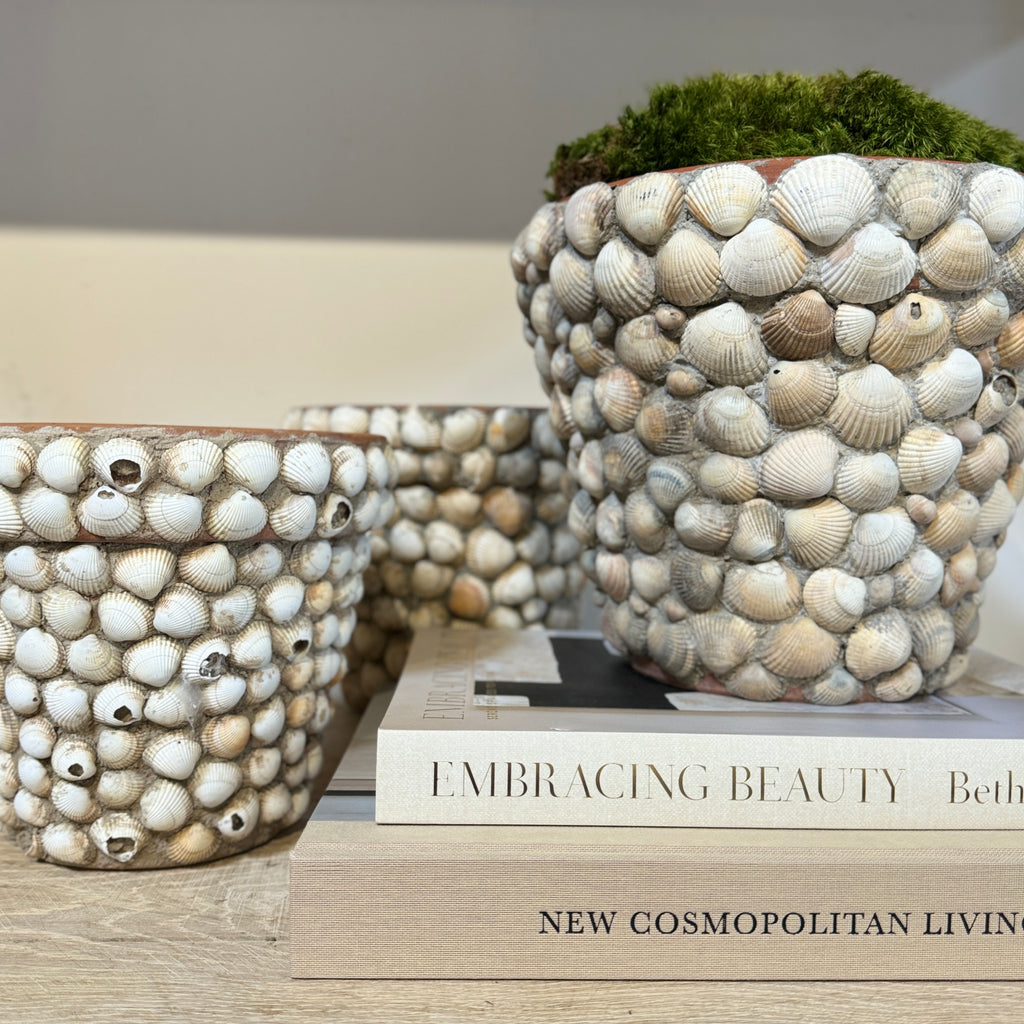 sea shells in potted plants Vintage French Shell Covered Terracotta Pot – Beautiful Mess Home & Garden