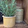 Antique French Mustard Pot