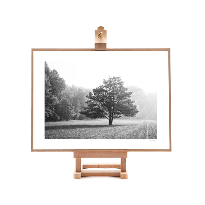 The Lone Misty Tree On Easel