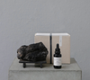 Studio Oliver Gustav Potpourri - O'Hara