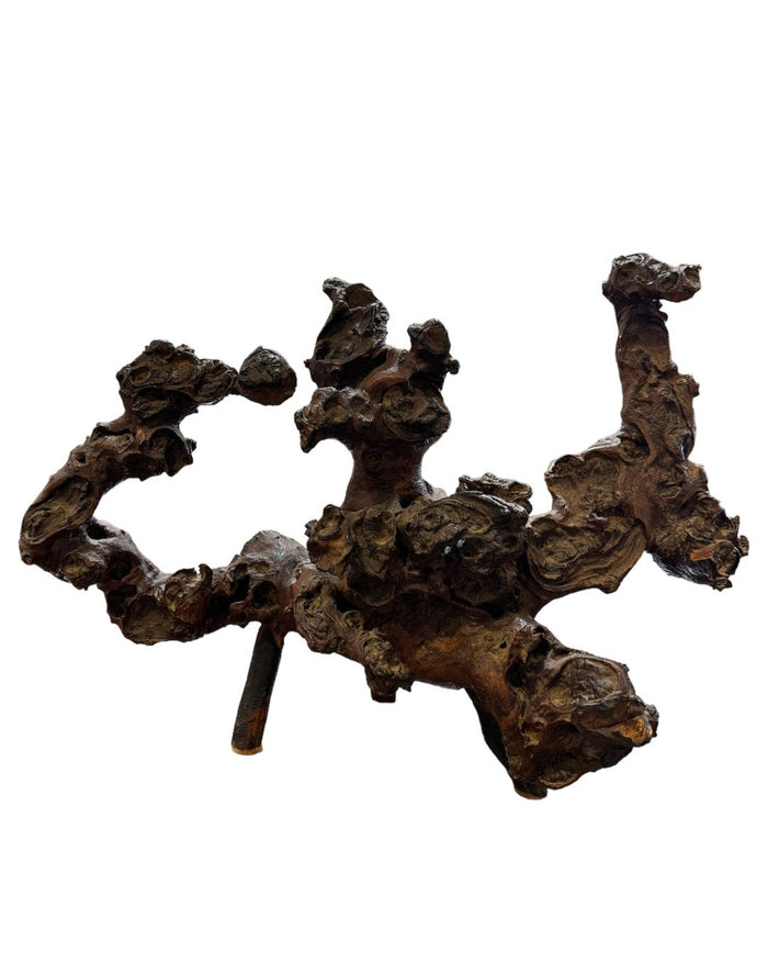 Vintage French Grapevine Root Sculpture