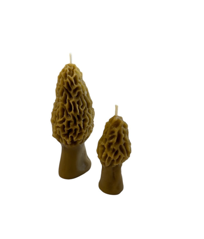 Taupe Beeswax Morel Mushroom Candle 2-pack