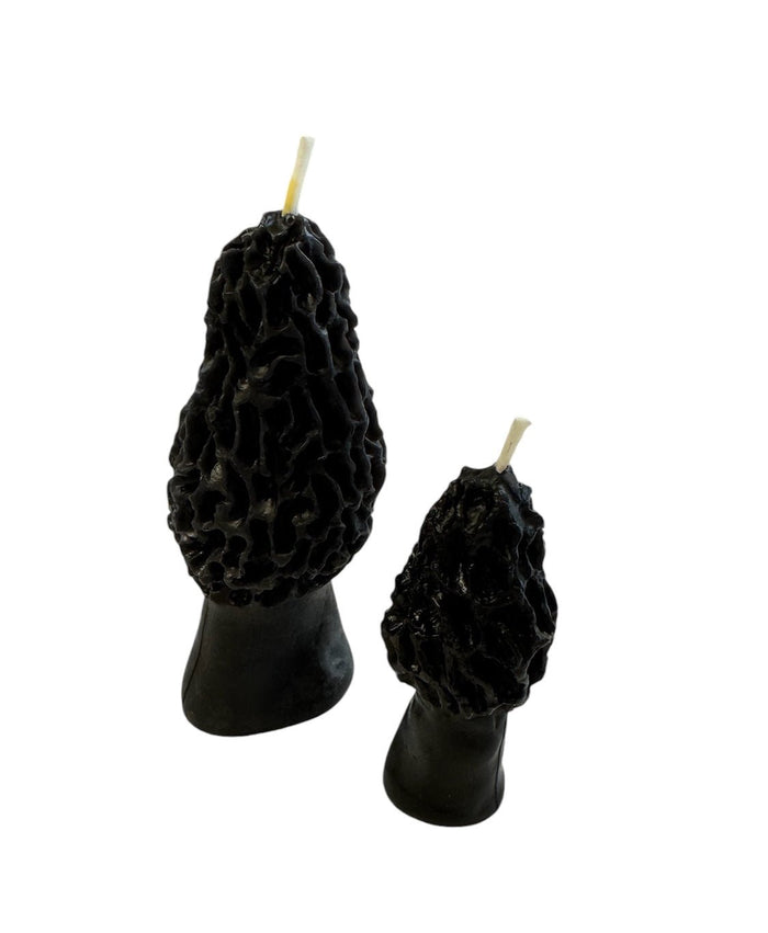 Black Beeswax Morel Mushroom Candle 2-pack