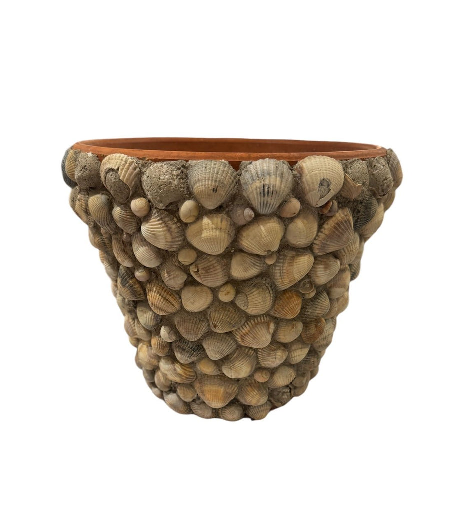 Vintage French Shell Covered Terracotta Pots