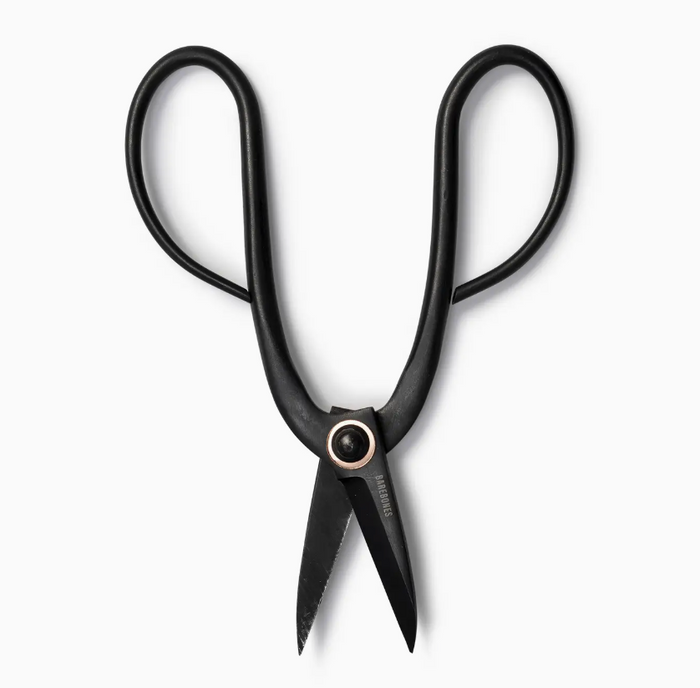 Artisan Pruning Shears
