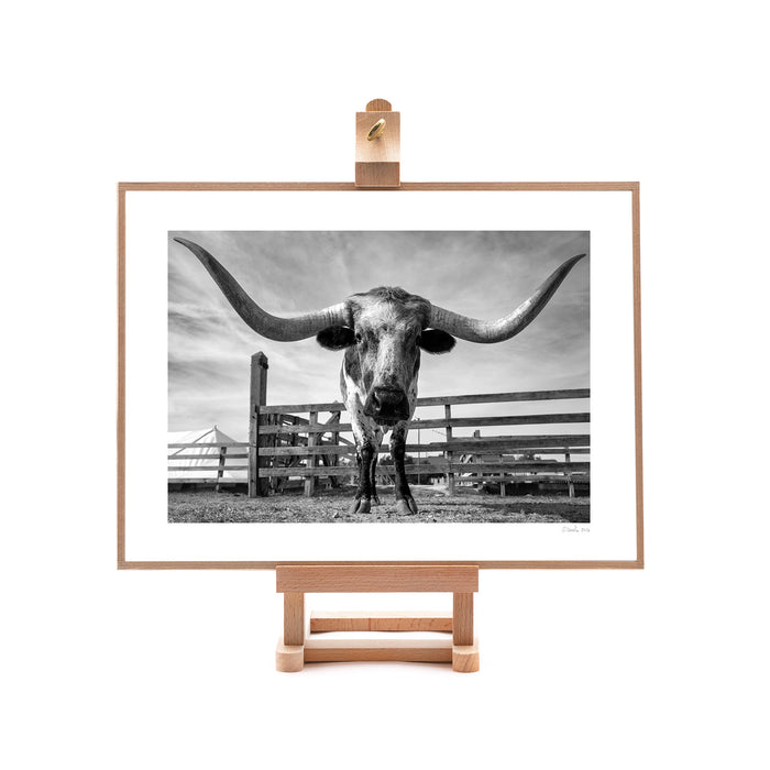 Stockyard Encounter On Easel