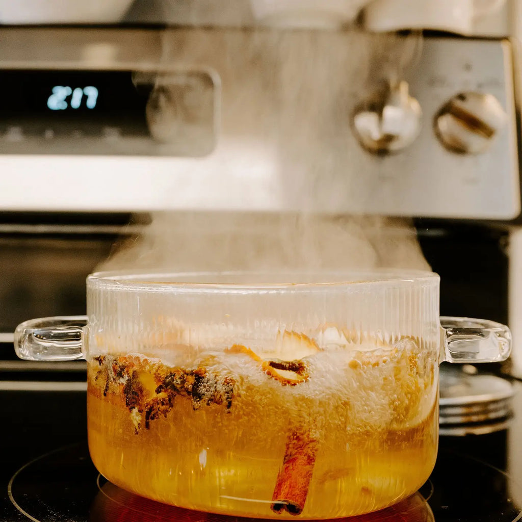 Energy Focus Stovetop Simmer Pot