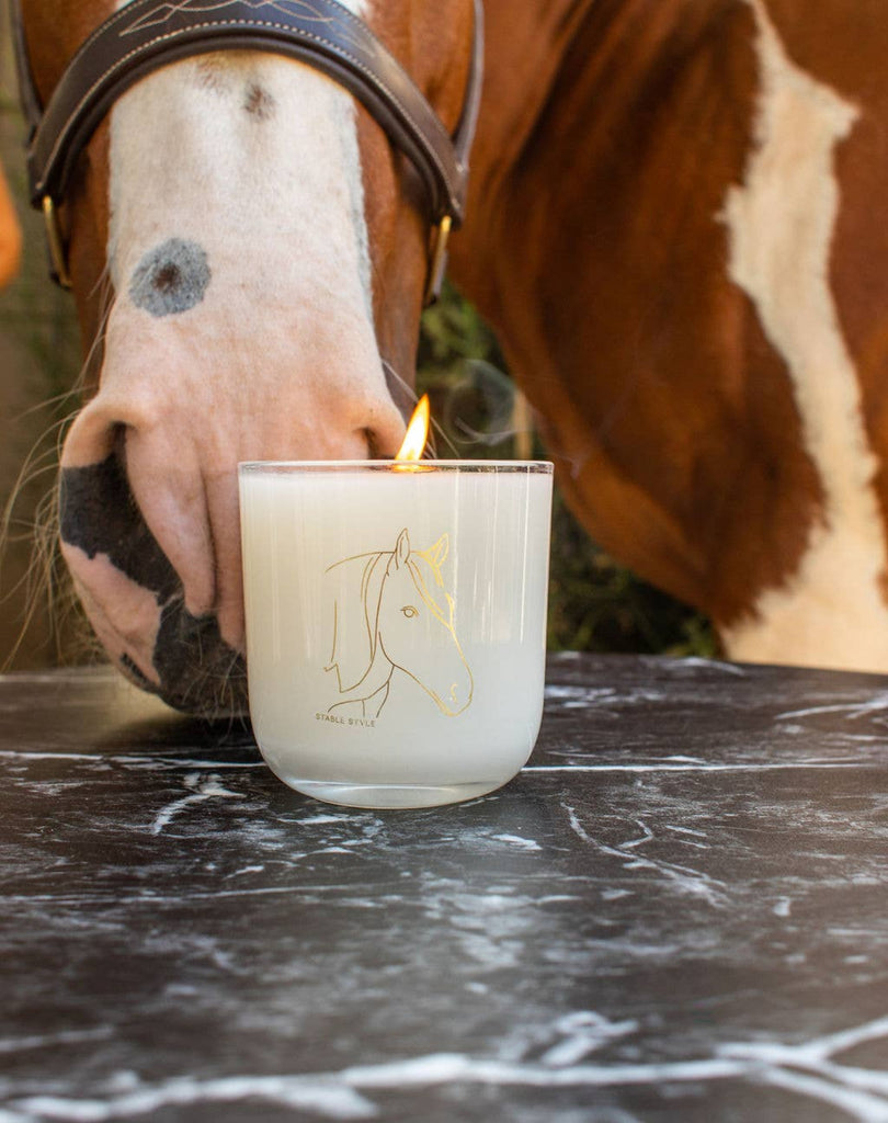 Horse soy wax candle in a clear glass tumbler beside a horse's muzzle.