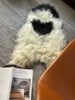 Spotted Icelandic Sheepskin Throw Rug
