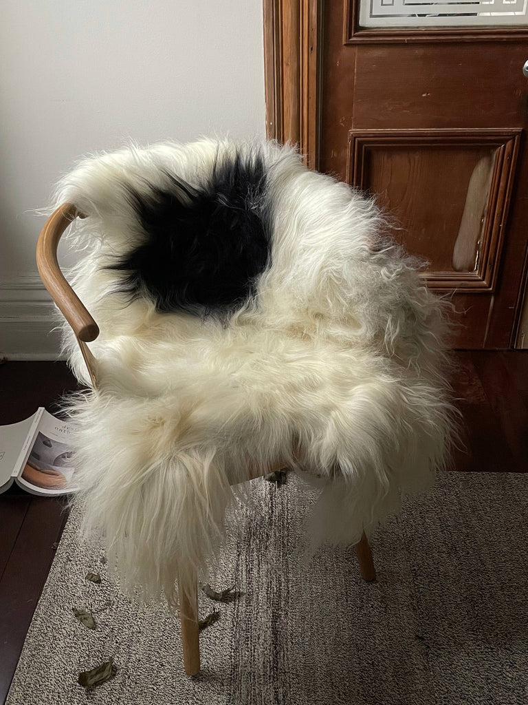 Spotted Icelandic Sheepskin Throw Rug