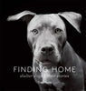 Book cover with gray shelter dog face and title text