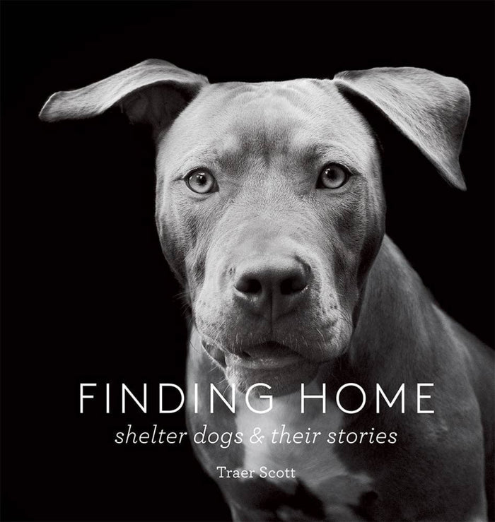 Book cover with gray shelter dog face and title text