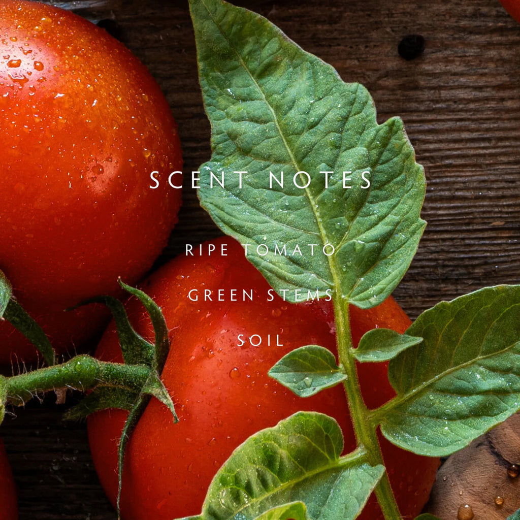 Linnea Hand Soap - Heirloom Tomato