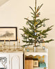 Vintage Handmade Ornament - Nunc Scio II.  