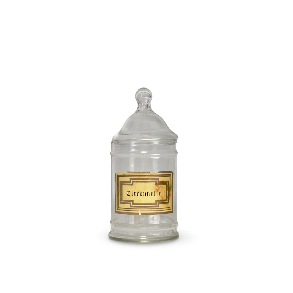 19th C. French Apothecary Jar
