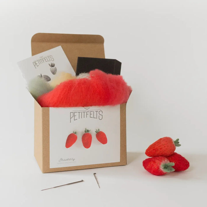 Needle Felting Kit - DIY - Strawberry