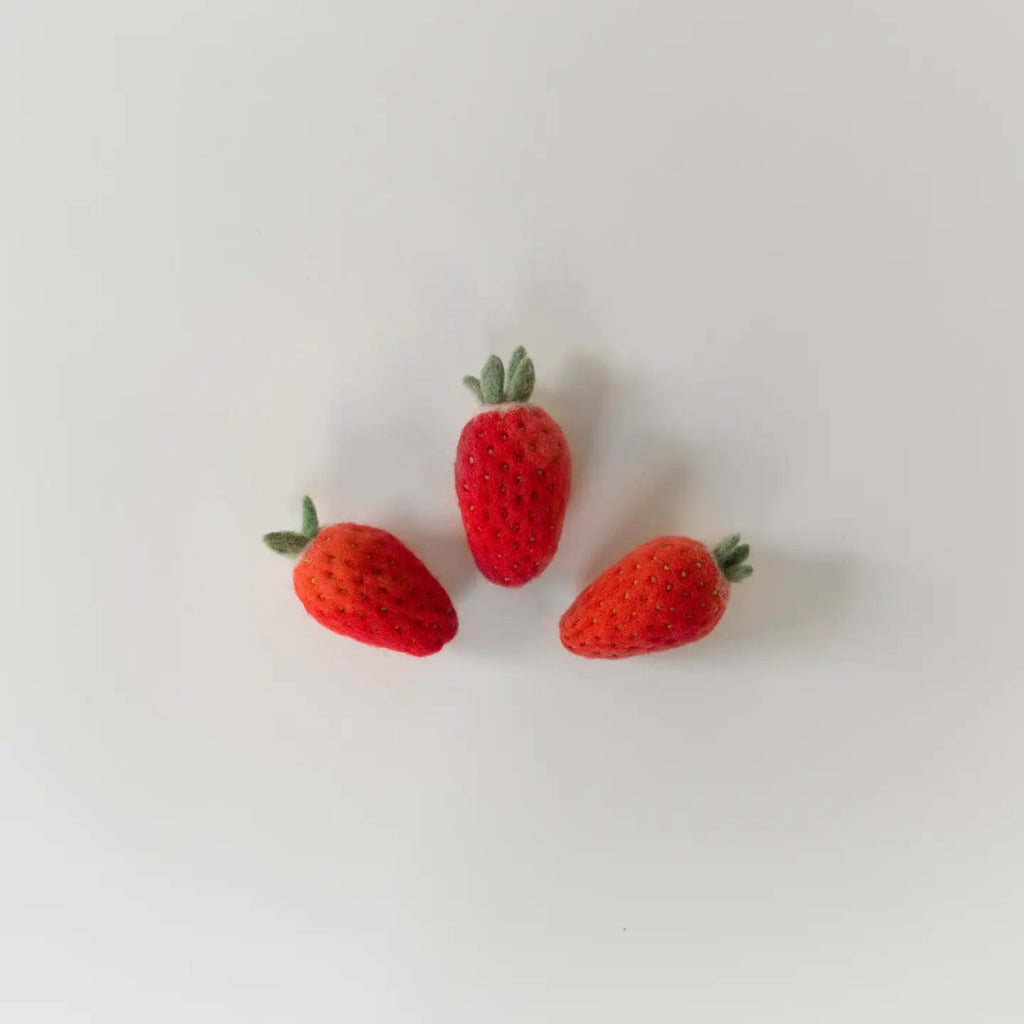Needle Felting Kit - DIY - Strawberry