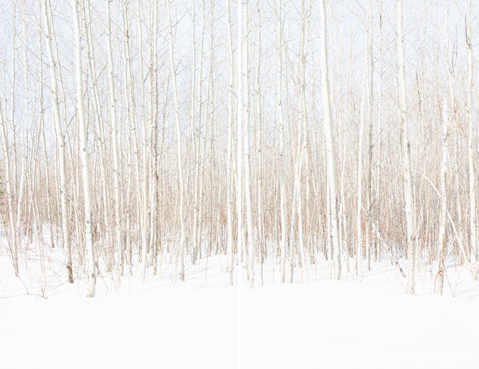 | OFF SEASON | DIPTYCH